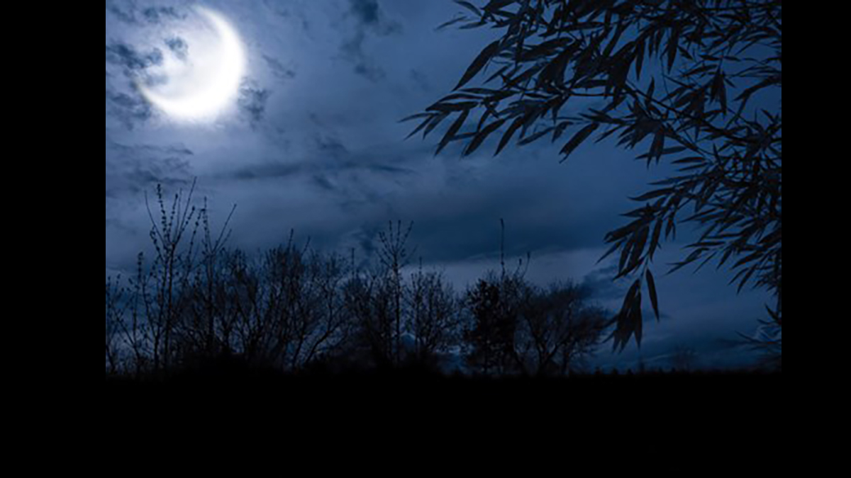 Full Moon Hike at Greenbelt Cultural Center in North Chicago